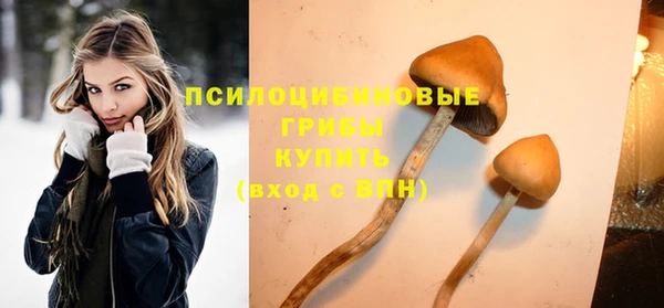 бутират Алексин