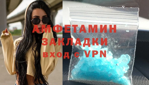 индика Володарск