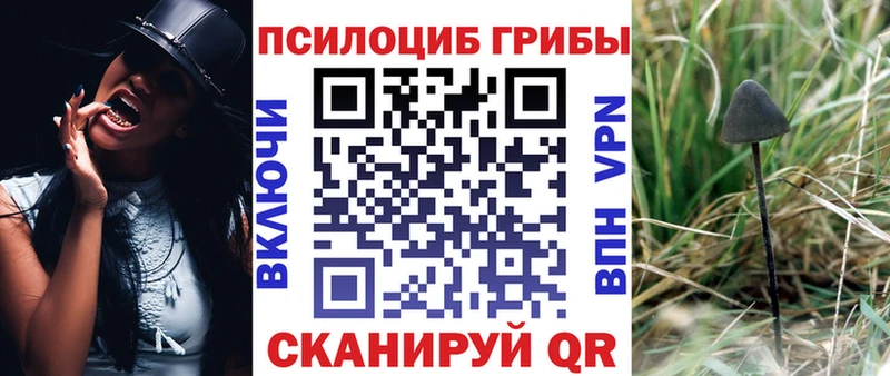 Псилоцибиновые грибы мицелий  купить наркотики цена  Игра 